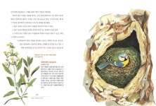 [포토인북] 당신이 몰랐던 대자연의 건축가 새 『새는 건축가다』