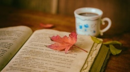 찬바람 불 때 읽기 좋은 가을 시집 10권