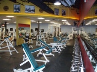 [스타 사생활 엿보기] 할리웃 근육 책임지는 골드스 짐(Gold’s Gym)