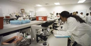 의대 진학 칼럼 - 떠오르는 캐러비안 의대