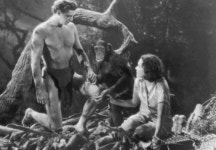 영화 ‘타잔’ 출연 침팬지 80세로 사망