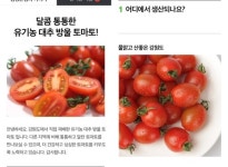 네이버 산지직송, 산지 생산자 판로 확대 위해 개편