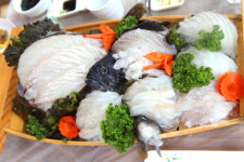 생방송투데이 훈활어 방송 속초 맛집 국내산 활어와 인심 가득 싱싱한 한상차림으로 화제