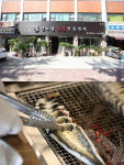 소문난 롱다리 꿀벅지 장어! 강동구 길동 장어구이 맛집 양도령숯불민물장어