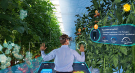 나모웹비즈, 디지털 트윈 기반 애그리테크 솔루션 AgTwin Simulator 출시