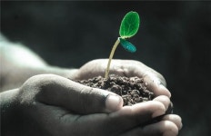 좋은 소리로 미생물 활성화…토양 재생시키고 탄소 저장력 향상