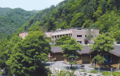 차가버섯 자연요법 암환우 전문 요양원 