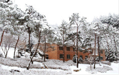 ‘자연치유+첨단의학’ 신개념 통합의학센터 홀론