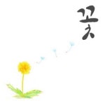 세월호 슬픔에 잠긴 이들 위한 위로가, ‘꽃’