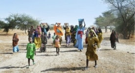 우물 238개, 유치원 3곳… 아프리카 변화의 시작