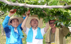 새정치민주연합이 워크숍한 가나안농군학교, 어떤 곳인가