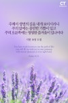 [오늘의 묵상] 생명의 길