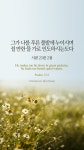 [오늘의 묵상] 푸른 풀밭
