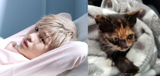 고양이 구출한 길건 “강다니엘 이름을 딴 ‘단이’”