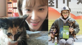 길건, 브루스, 루루 반려견 사랑, 강다니엘 이름 딴 고양이 구출까지