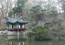 왕이 사랑한 정원 창덕궁 후원 예약 단풍 명소