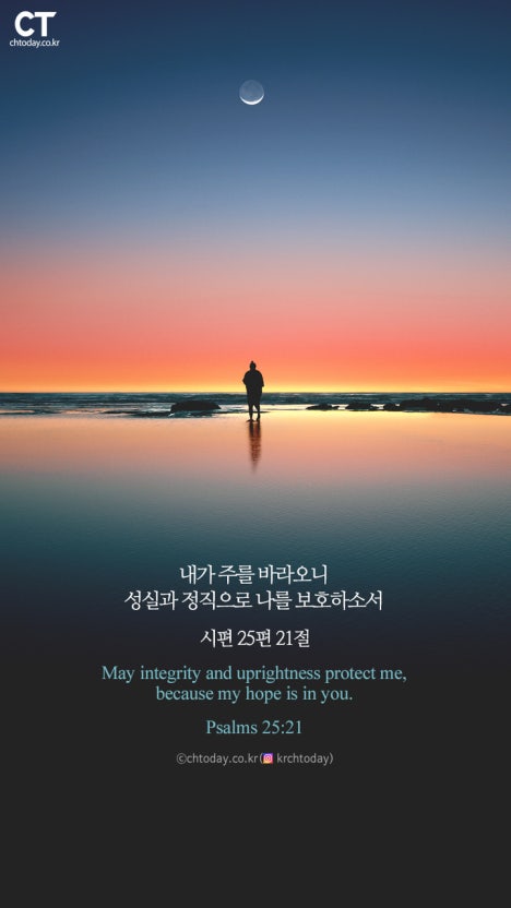 보시기 이미지