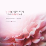 [기독교 명언] 온유함