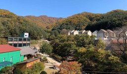 [김진홍의 아침묵상] 11월 21일 건물 없는 교회, 두레온라인교회를 창립합니다