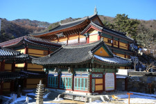 수진사 방화, 개인 일탈 유력한데… “사주·독려” 운운?