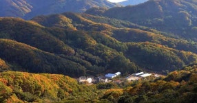 [김진홍의 아침묵상] 이 산지를 내게 주소서(1)