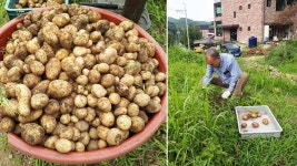 [김진홍의 아침묵상] 두레마을의 봄맞이 작업