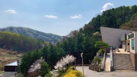 [김진홍의 아침묵상] 야곱의 아들 아셀