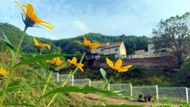 [김진홍의 아침묵상] 활빈, 두레교회 창립정신(5) 한국적 복음