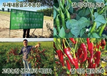 [김진홍의 아침묵상] 두레마을 배추와 고춧가루 (2)