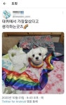 클럽클리오대구상인클럽 | 대구 동성로 상인회 등, 퀴어축제 주최측 고발