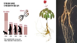 (주)킴스앤텔로미어연구소 김규아 대표, kims & Telomere Institute ‘건강기능식품 및 텔로미어,텔로머라제, 컴파운드K 연구제품개발’... 