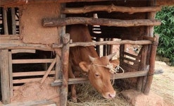 동성커플 건강보험 피부양자 인정… 소 잃었지만 외양간 고치자