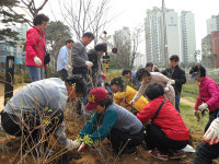 [인천]부평 삼산2동, 꽃길 가꾸기 사업 추진