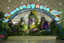 [경기]고양 꽃 박람회...5천만 송이의 화려한 꽃의 향연 열린다