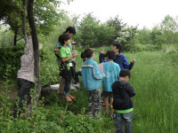 [경기]고양시, 자연학습장 생태교실 개장