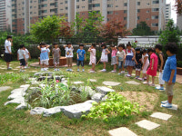 [서울] 동대문구, 회색빛 건물 옥상, 녹색으로 바꾼다