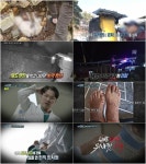 실화탐사대 감농장 연쇄 테러범 농막 청년 & 유명 병원 원장의 의료사고