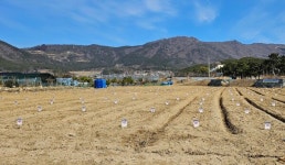 거제시, 도시민 주말농장 분양 참여자 모집