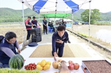 청송군 농민회,2024 풍년기원제 및  통일쌀 손 모내기 행사개최
