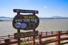 순천시, 거차어촌체험 휴양마을 사무장 모집