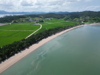 고흥군 두원면 대전해수욕장 개장