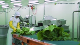 농업대전환... 영덕에서 소득배당 2호 모델 탄생