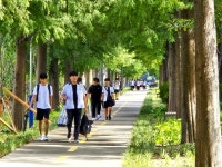 포항철길숲, 유동인구 증가… 소비활동 활발해져 지역경제 활성화에 기여