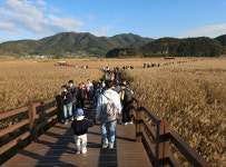 핫플레이스로 떠오른 순천 관광...요즘 장사할 만 해