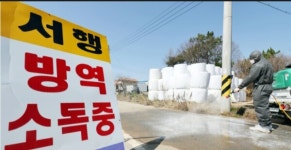 전남 구제역 발생 농가 사흘새 7곳으로 늘어…방역당국 비상