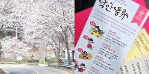 [현장르포] 순천미식주간, 프리미엄 미식투어 낙안풍류로 봄의 정취를 만끽하다