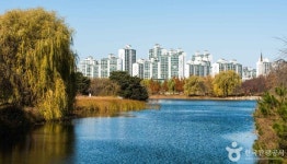 고양종합운동장 방문 후 가볼만한 주변 명소는?