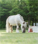 동대문구와 함께하는 장애인의 날 기념 따뜻한 동행