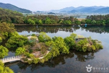 이팝나무 보러갈만한 전국 명소 총정리