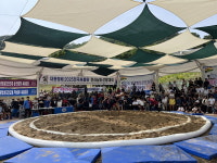 전통과 열정이 빚어낸 승부 영광 씨름대회